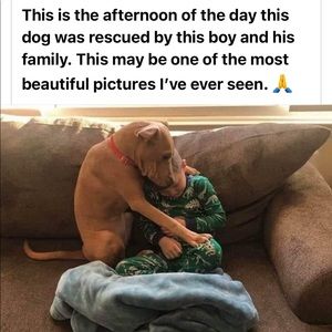 What is love between a Boy and his Dog? 🐶👦